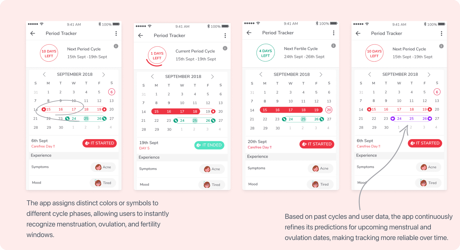 Cycle stage forecast screens showing menstruation, ovulation, and fertility windows