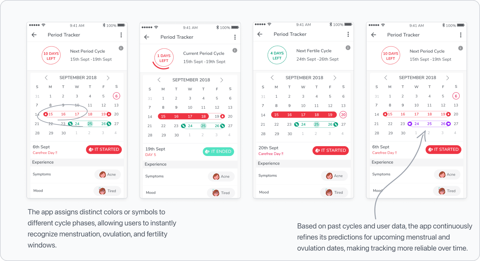 Cycle stage forecast screens showing menstruation, ovulation, and fertility windows