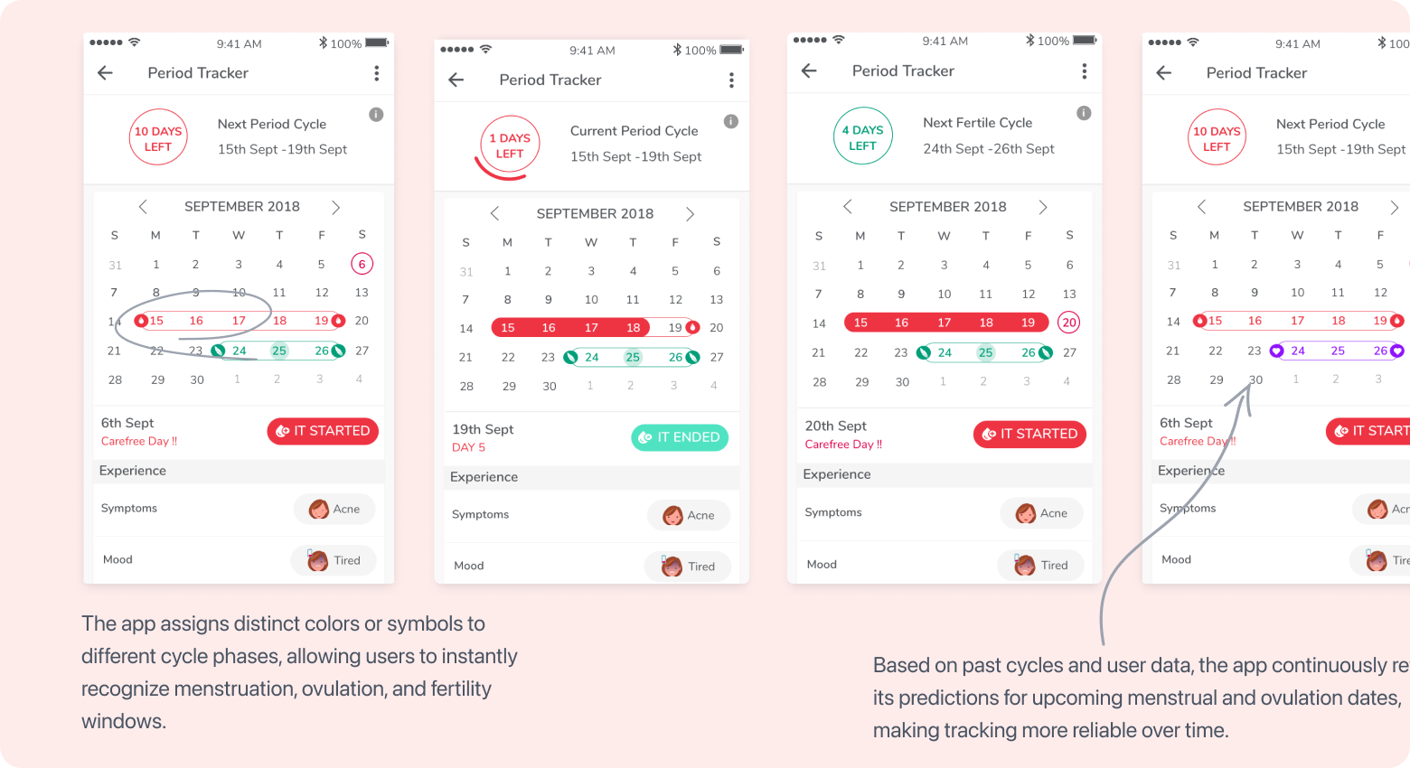 Cycle stage forecast screens showing menstruation, ovulation, and fertility windows